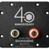 Dynaudio Special Forty connettori